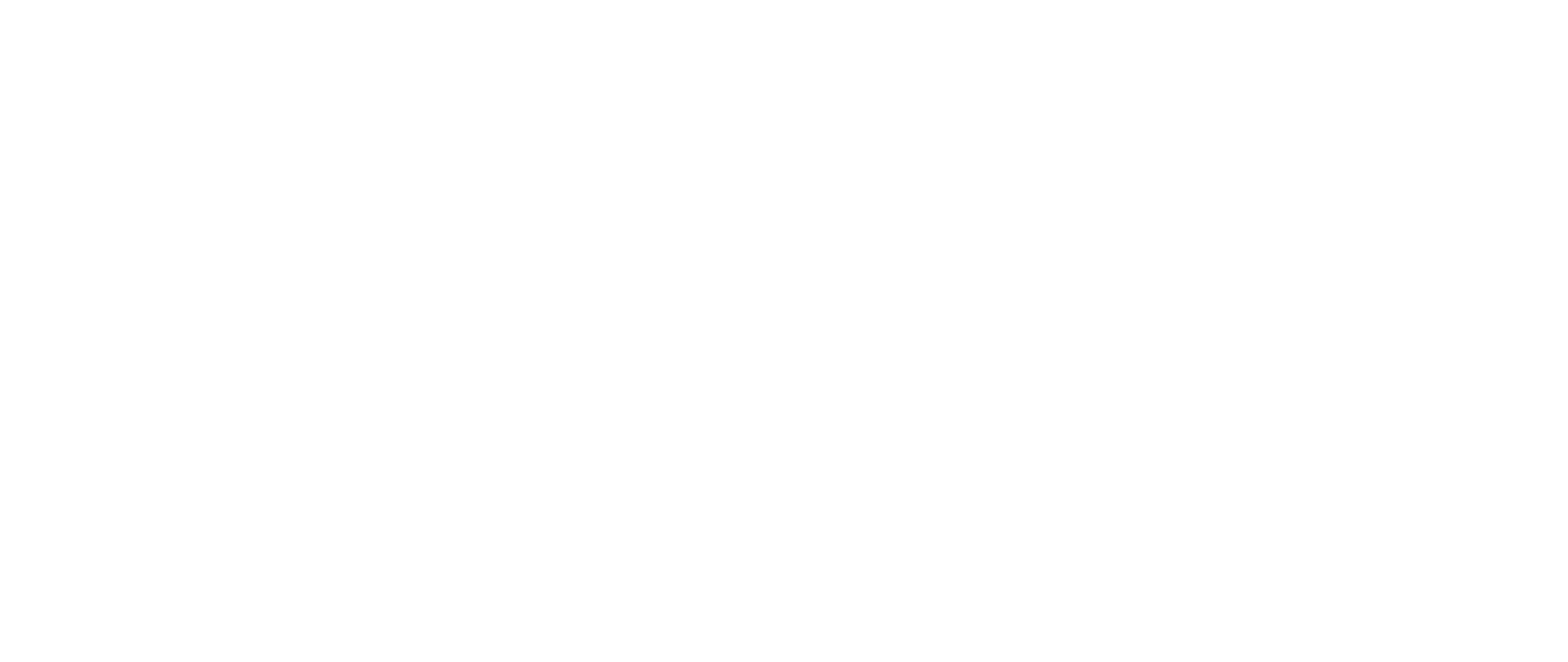 logo_sky-ville_oficial_lmr (1)